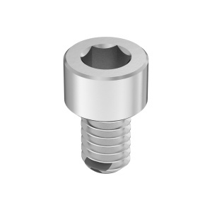 Rubber O-Ring with A4 Vibration-Resistant Sealing Socket Head Screw 8-32 Thread Size, 1/4