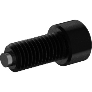 Brass-Tip High Strenght Socket Head Screw 3/8