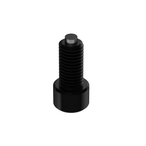 Brass-Tip High Strenght Socket Head Screw 3/8