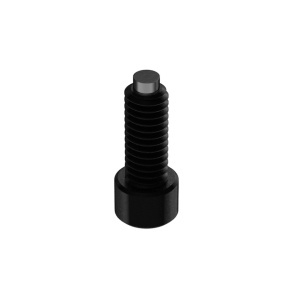 Brass-Tip High Strenght Socket Head Screw 5/16