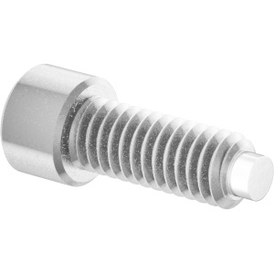 Brass-Tip High Strenght Socket Head Screw 5/16