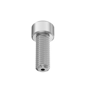 Cleaned&Bagged A2 Vacuum Socket Head Screw High-Vacuum, 10-32 Thread Size, 1/2