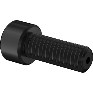 Cleaned&Bagged A2 Vacuum Socket Head Screw High-Vacuum, 10-32 Thread Size, 1/2