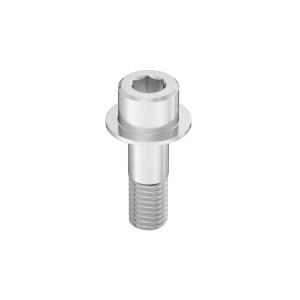 Exact-Grip-Length Flanged Socket Head Screw 1/2