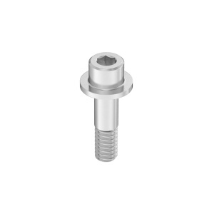 Exact-Grip-Length Flanged Socket Head Screw 1/4