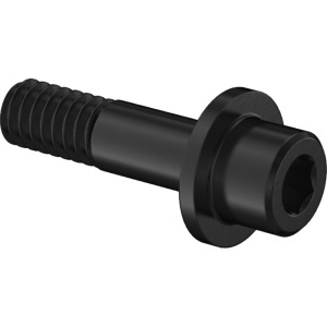 Exact-Grip-Length Flanged Socket Head Screw 1/4