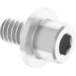 Flanged Socket Head Screw 1/4