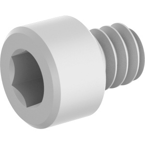 Glass-Filled Nylon Socket Head Screws 4-40 Thread Size, 1/8