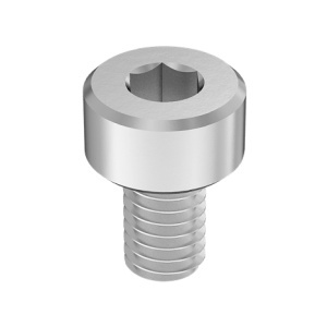 High-Strength A286 Stainless Steel Socket Head Screw 5/16