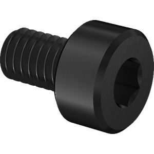 High-Strength A286 Stainless Steel Socket Head Screw 5/16