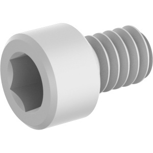 Nylon Socket Head Screws 10-24 Thread Size, 1/8