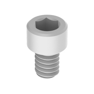 Nylon Socket Head Screws 10-24 Thread Size, 1/8