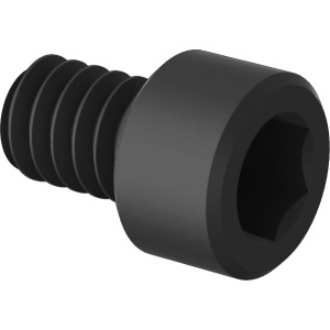 Nylon Socket Head Screws 10-24 Thread Size, 1/8