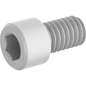 Nylon Socket Head Screws 5/16