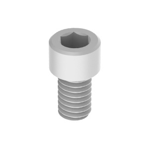 Nylon Socket Head Screws 5/16