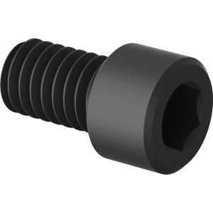 Nylon Socket Head Screws 5/16