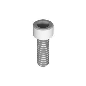 PEEK Plastic Socket Head Screw 2-56 Thread Size, 1/4