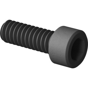 PEEK Plastic Socket Head Screw 2-56 Thread Size, 1/4