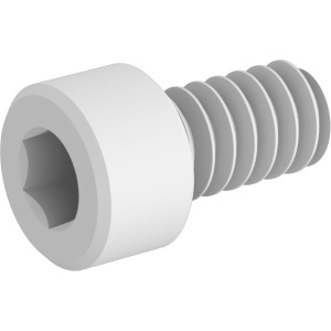 Polypropylene Plastic Socket Head Screw 6-32 Thread Size, 1/4
