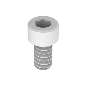 Polypropylene Plastic Socket Head Screw 6-32 Thread Size, 1/4