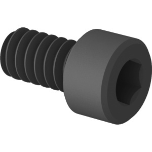 Polypropylene Plastic Socket Head Screw 6-32 Thread Size, 1/4