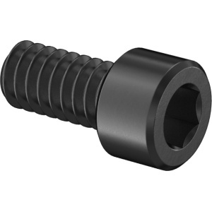Super-Corrosion-Resistant A4 Socket Head Screw 0-80 Thread Size, 1/8