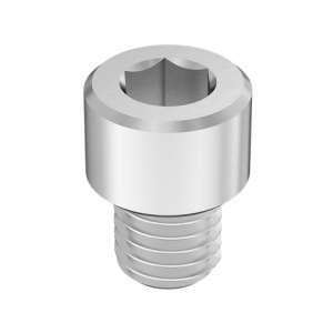 Super-Corrosion-Resistant A4 Socket Head Screw 1/2