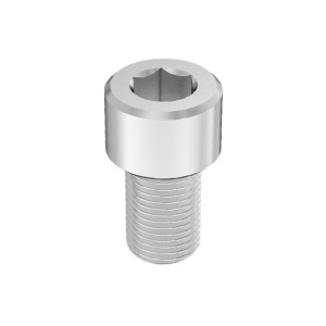 Super-Corrosion-Resistant A4 Socket Head Screw 1/2