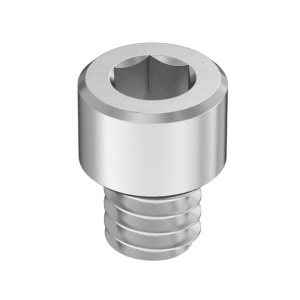 Super-Corrosion-Resistant A4 Socket Head Screw 1/4