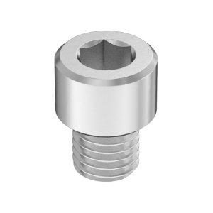 Super-Corrosion-Resistant A4 Socket Head Screw 1/4