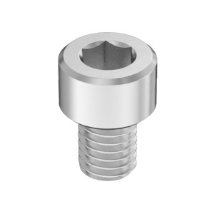 Super-Corrosion-Resistant A4 Socket Head Screw 10-24 Thread Size, 1/4