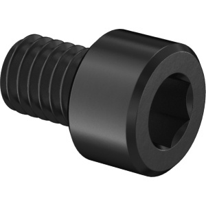 Super-Corrosion-Resistant A4 Socket Head Screw 10-24 Thread Size, 1/4