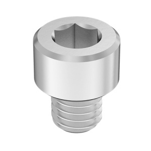 Super-Corrosion-Resistant A4 Socket Head Screw 10-32 Thread Size, 3/16