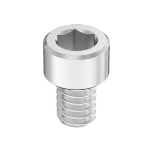 Super-Corrosion-Resistant A4 Socket Head Screw 2-56 Thread Size, 1/8