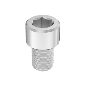 Super-Corrosion-Resistant A4 Socket Head Screw 3/4