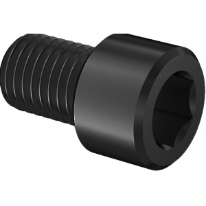 Super-Corrosion-Resistant A4 Socket Head Screw 3/4