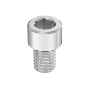 Super-Corrosion-Resistant A4 Socket Head Screw 3/8