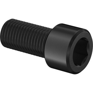 Super-Corrosion-Resistant A4 Socket Head Screw 3/8
