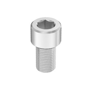 Super-Corrosion-Resistant A4 Socket Head Screw 5/16