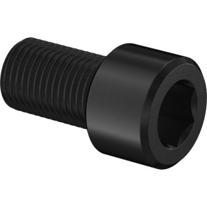 Super-Corrosion-Resistant A4 Socket Head Screw 5/16