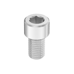 Super-Corrosion-Resistant A4 Socket Head Screw 5/16