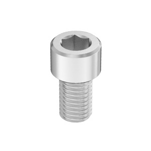 Super-Corrosion-Resistant A4 Socket Head Screw 5/8