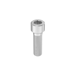 Super-Corrosion-Resistant A4 Socket Head Screw 5/8