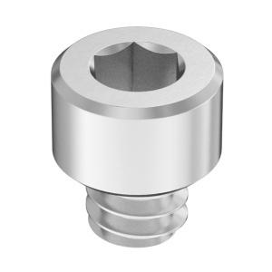 Super-Corrosion-Resistant A4 Socket Head Screw 6-32 Thread Size, 1/8