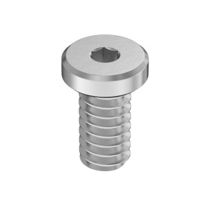 Super-Corrosion-Resistant A4 Low-Profile Socket Head Screw , 10-24 Thread Size, 1/4