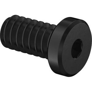 Super-Corrosion-Resistant A4 Low-Profile Socket Head Screw , 10-24 Thread Size, 1/4