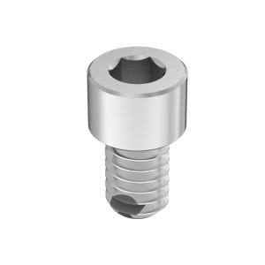 Silicone Rubber O-Ring with A4 Vibration-Resistant Sealing Socket Head Screw 1/4