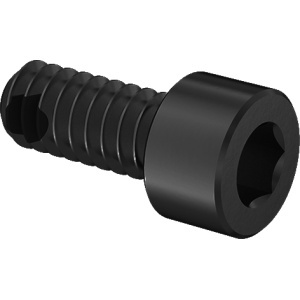 Silicone Rubber O-Ring with A4 Vibration-Resistant Sealing Socket Head Screw 10-24 Thread Size, 7/16