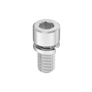 Stainless Steel Socket Head Screw with Split Lock Washer 1/4