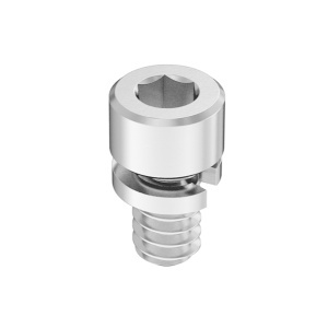 Stainless Steel Socket Head Screw with Split Lock Washer 6-32 Thread Size, 1/4